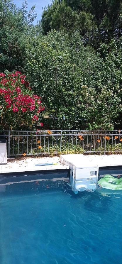 2 Chambres Et Salle De Bain Un Oasis De Bien Etre Piscine Et Jardin Direct Gare Aeroport Toulouse Exterior foto