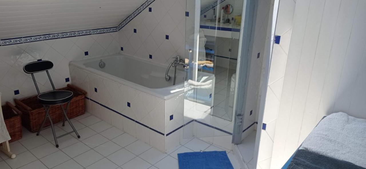 2 Chambres Et Salle De Bain Un Oasis De Bien Etre Piscine Et Jardin Direct Gare Aeroport Toulouse Exterior foto