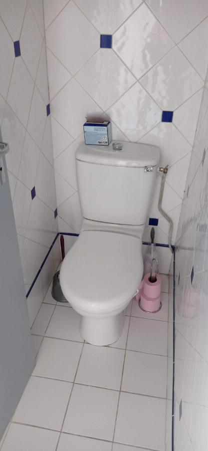 2 Chambres Et Salle De Bain Un Oasis De Bien Etre Piscine Et Jardin Direct Gare Aeroport Toulouse Exterior foto
